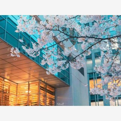 中欧体育app下载官网