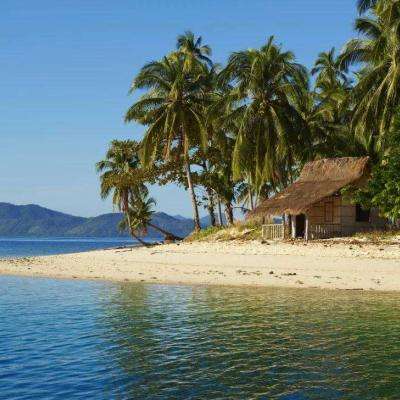 亚搏apo官网下载官方版