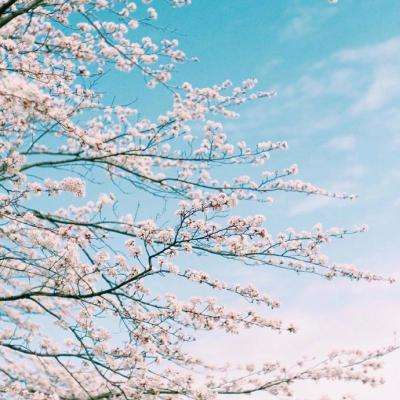 乐鱼彩票官网app下载截图